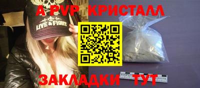 прущие крисы Будённовск