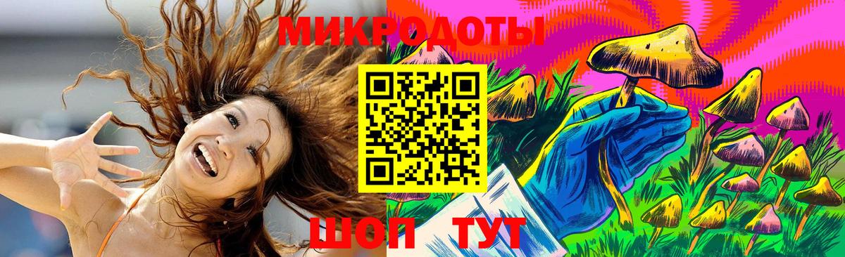 Псилоцибиновые грибы Cubensis Крымск